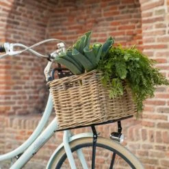 Porte-bagages Avant Pour Vélos De 20 à 24 Pouces Steco 7 Porte-bagages Avant Pour Vélos De 20 à 24 Pouces Steco -Promos Accessoires guidon Magasin porte bagages avant pour velos de 20 a 24 pouces steco full 4